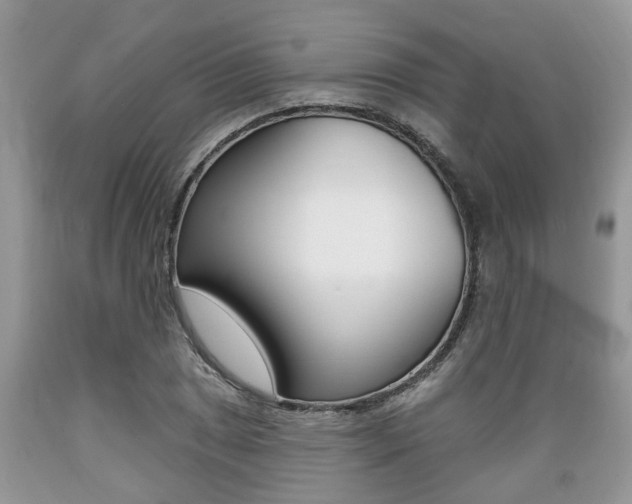 X0000089661025200706210726