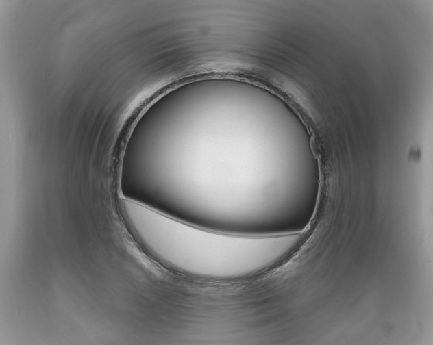 X0000089661026200706210726