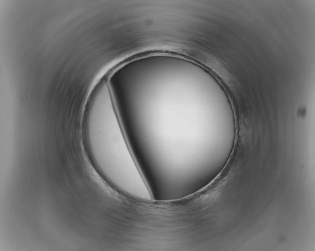 X0000089661028200706210726
