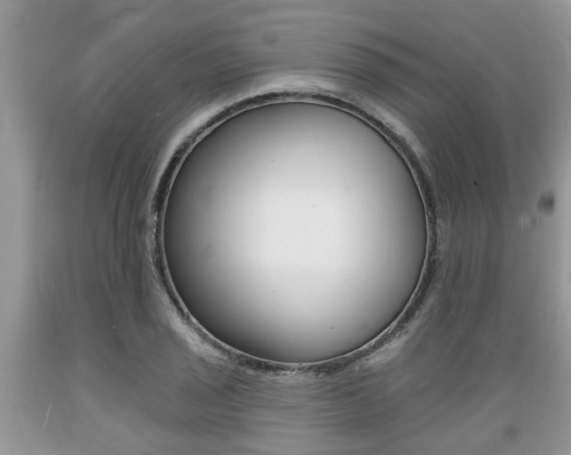 X0000089661029200706210726