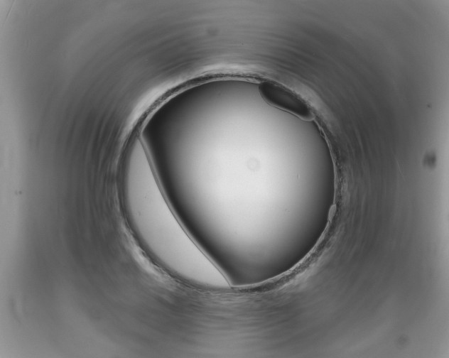X0000089661030200706210726