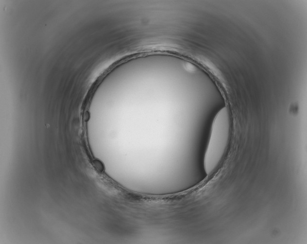 X0000089661031200706210726