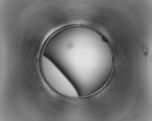 X0000089661032200706210726