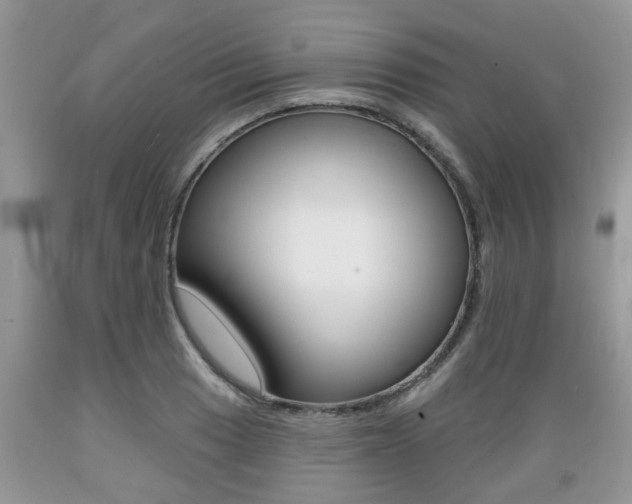 X0000089661033200706210726