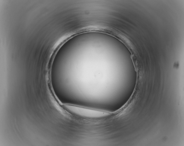 X0000089661034200706210726