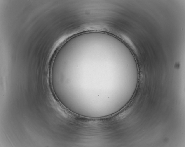 X0000089661035200706210726
