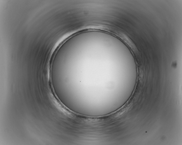X0000089661036200706210726