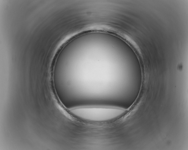 X0000089661037200706210726