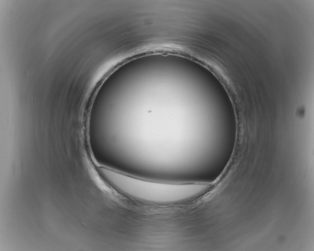 X0000089661038200706210726
