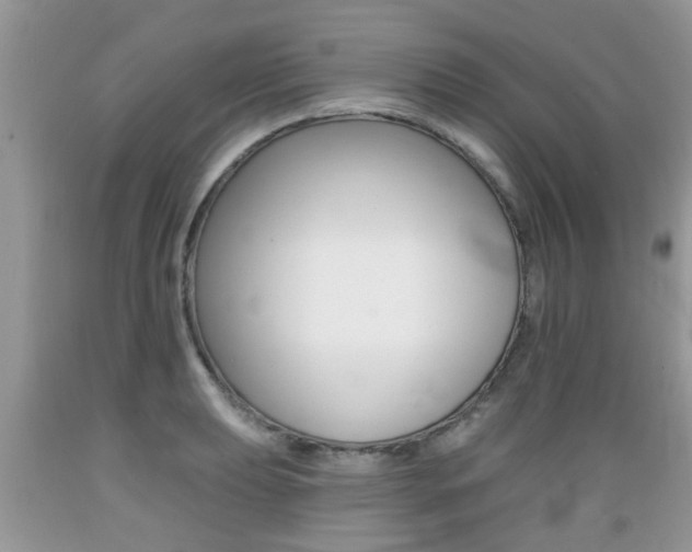 X0000089661039200706210726