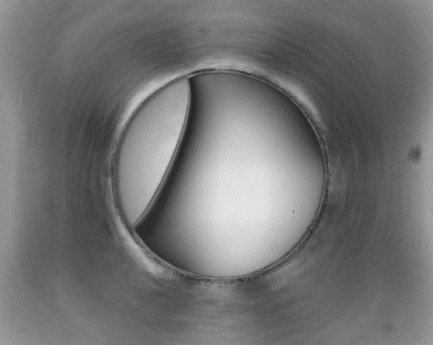X0000089661040200706210726