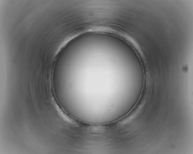 X0000089661041200706210726