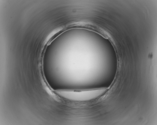 X0000089661042200706210726