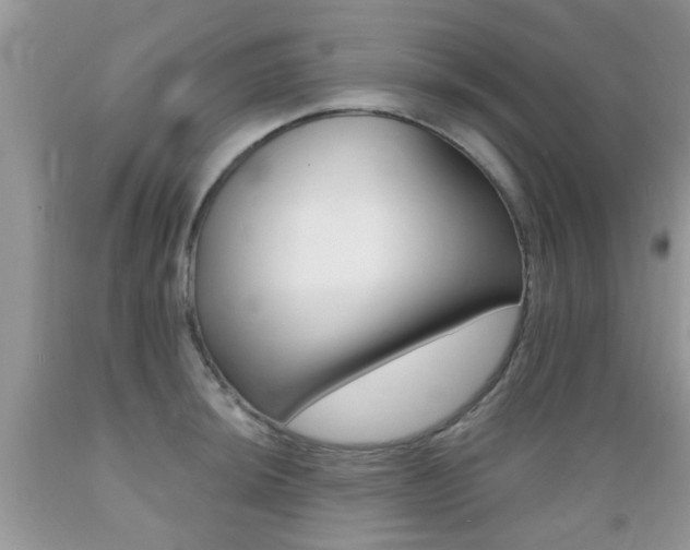 X0000089661044200706210726