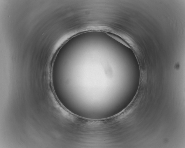 X0000089661046200706210726