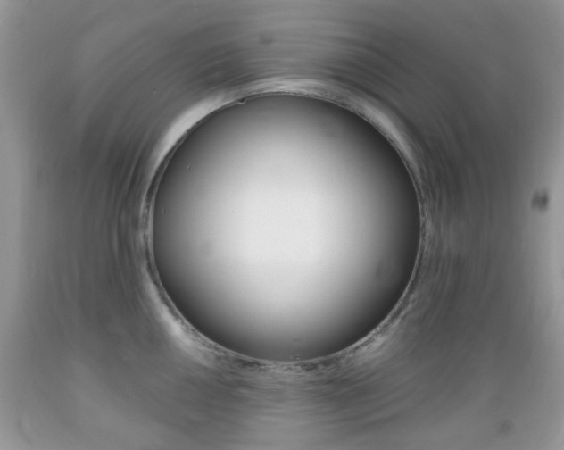 X0000089661050200706210726