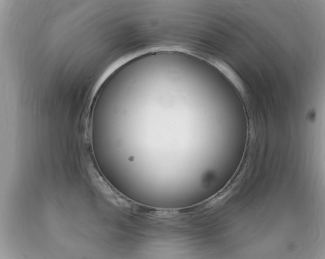 X0000089661052200706210726
