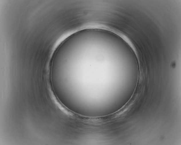X0000089661053200706210726
