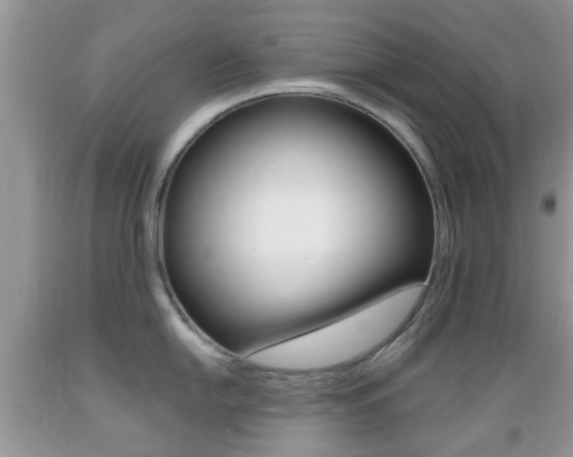 X0000089661054200706210726