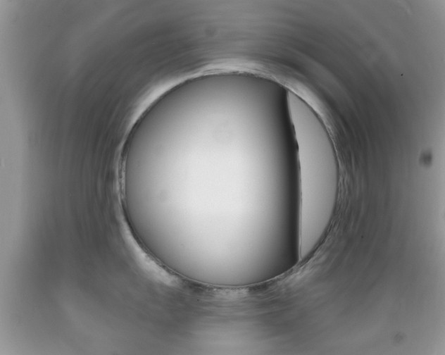 X0000089661055200706210726