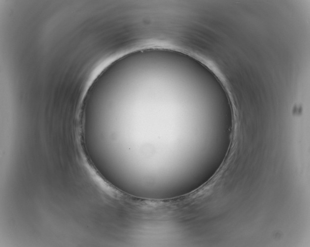 X0000089661056200706210726
