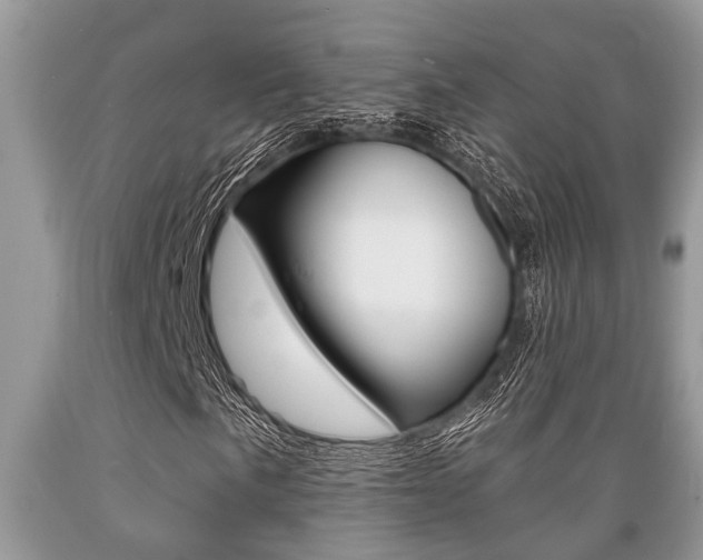X0000089661057200706210725