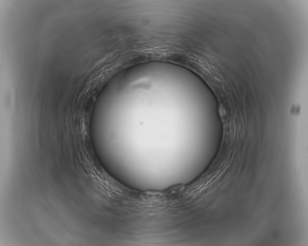 X0000089661058200706210725