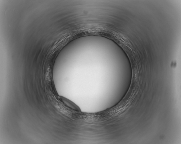 X0000089661060200706210725