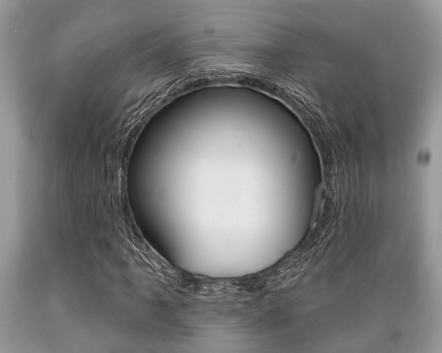 X0000089661061200706210725