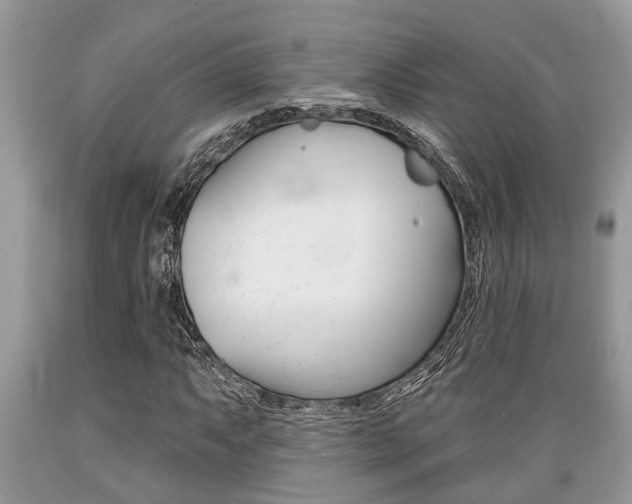 X0000089661063200706210725