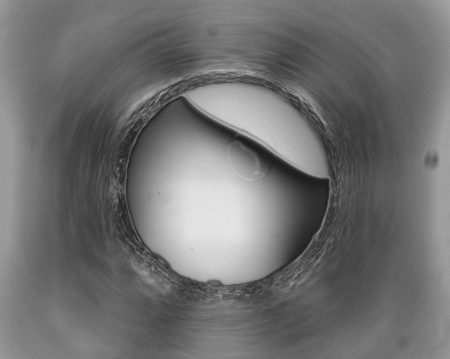 X0000089661064200706210725