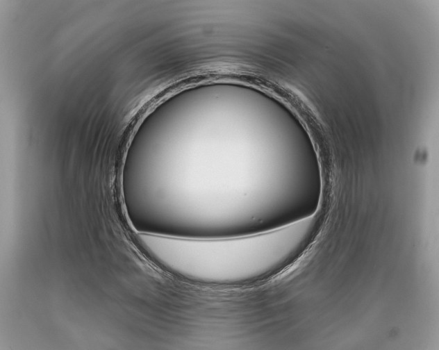 X0000089661065200706210725