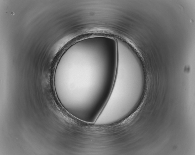 X0000089661066200706210725