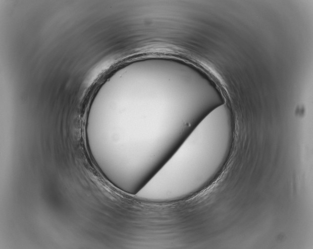 X0000089661067200706210725