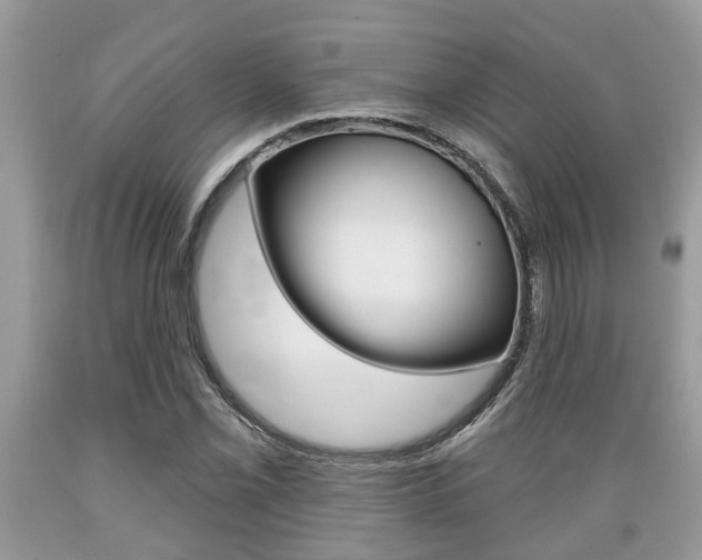 X0000089661069200706210725