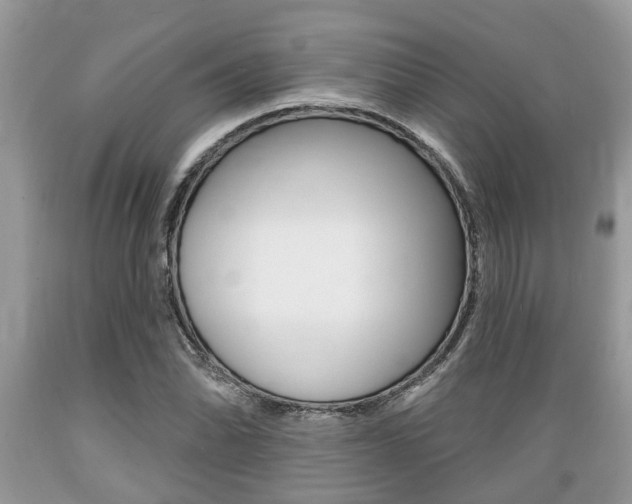 X0000089661070200706210725