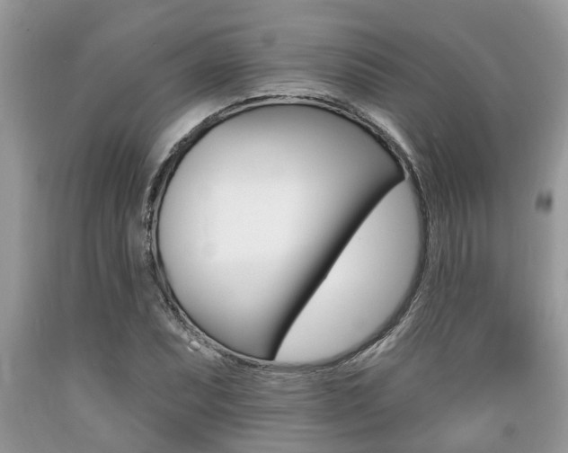 X0000089661071200706210725