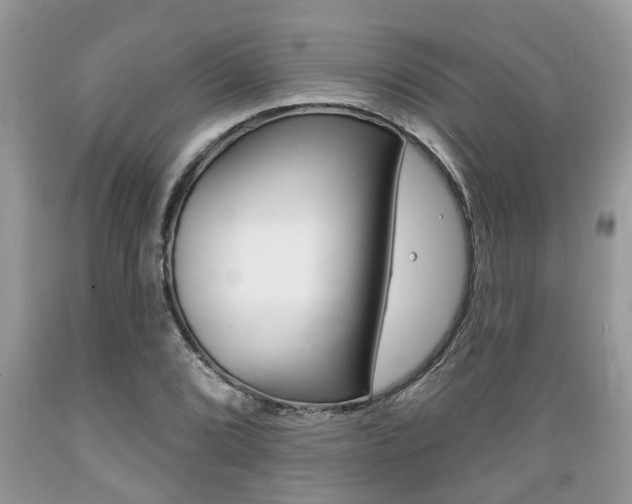 X0000089661072200706210725