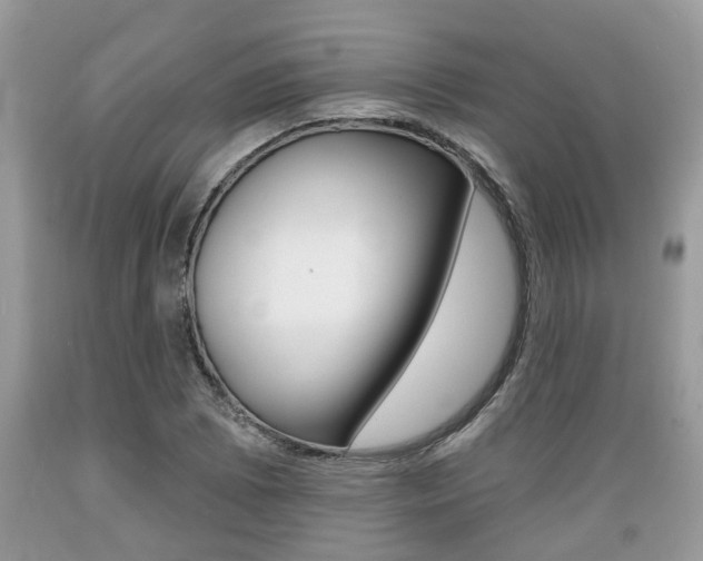 X0000089661073200706210725