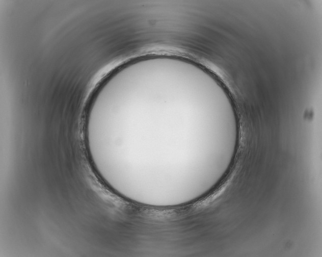 X0000089661074200706210725