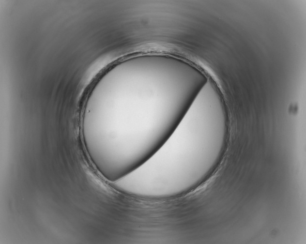 X0000089661075200706210725