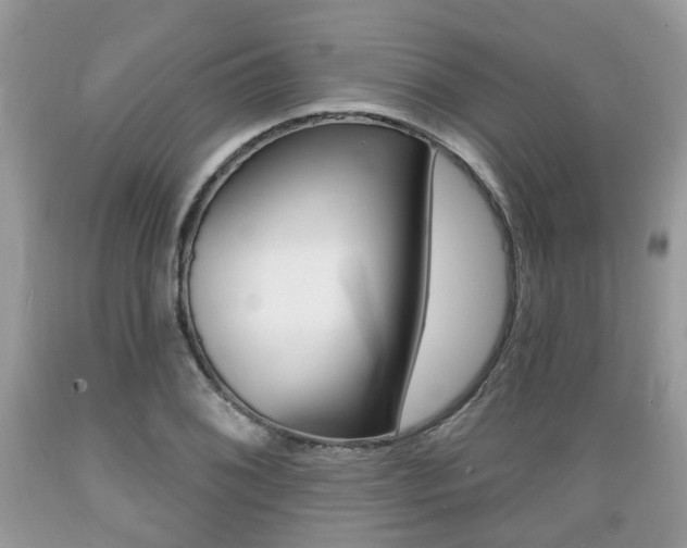 X0000089661076200706210725