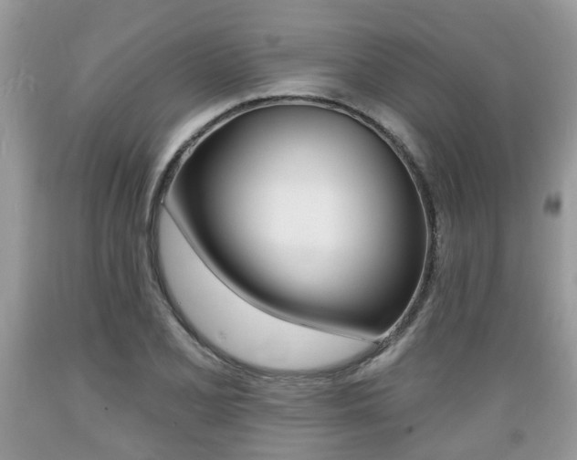 X0000089661077200706210725