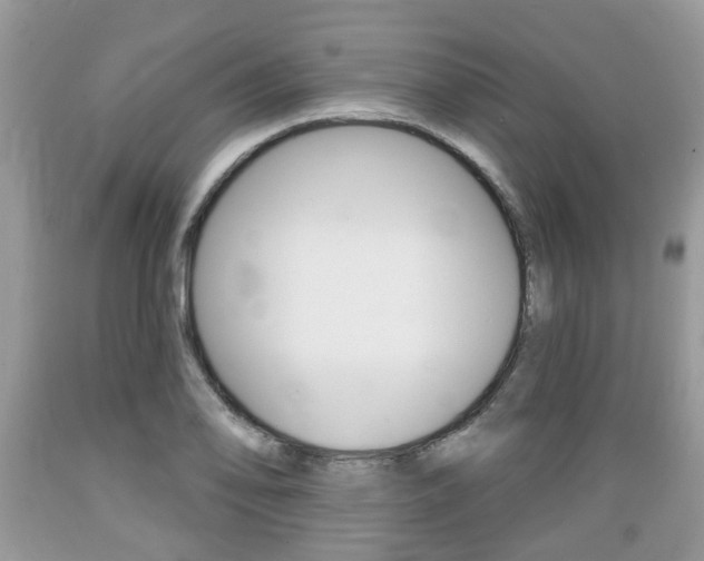 X0000089661078200706210725