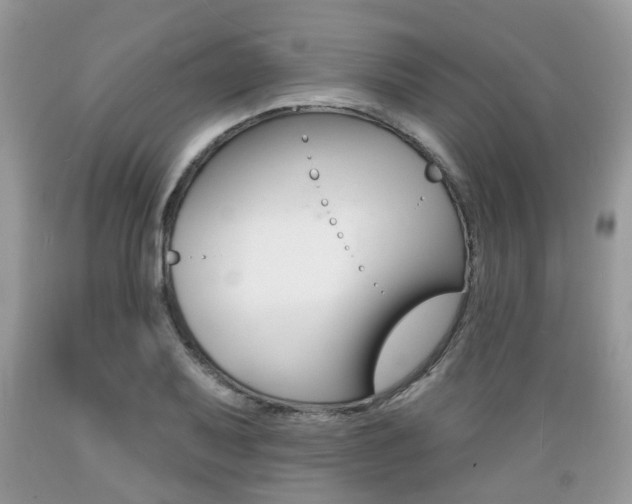 X0000089661079200706210725
