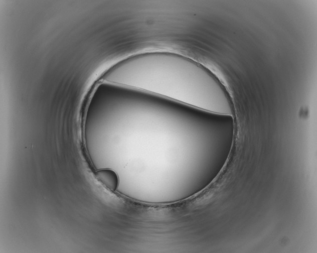 X0000089661080200706210725