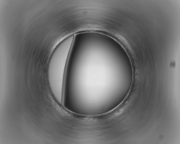 X0000089661081200706210725