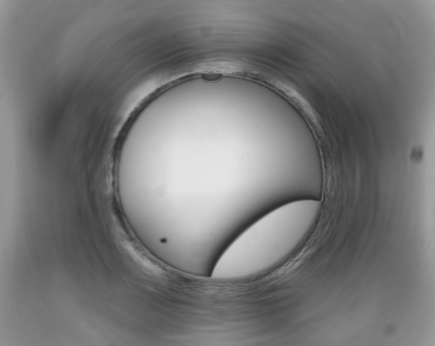 X0000089661083200706210725