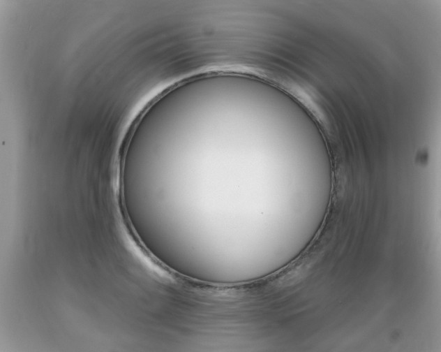 X0000089661084200706210725