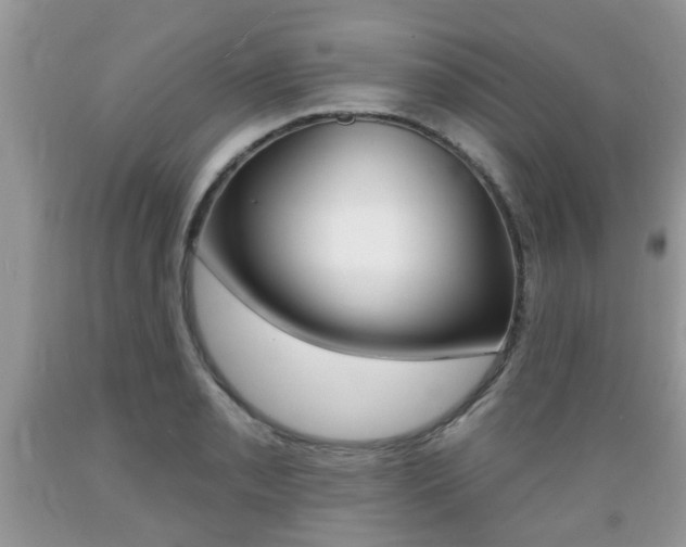X0000089661085200706210725